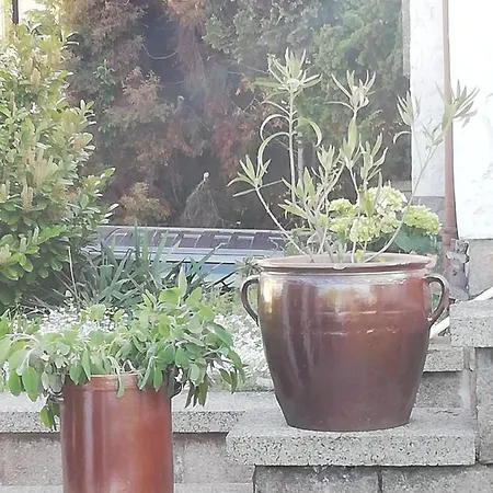 Lägenhet Edeltraud Zentral Wernigerode