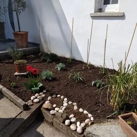 Edeltraud Zentral Lägenhet *