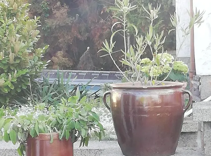 아파트 Edeltraud Zentral 베르니게로데