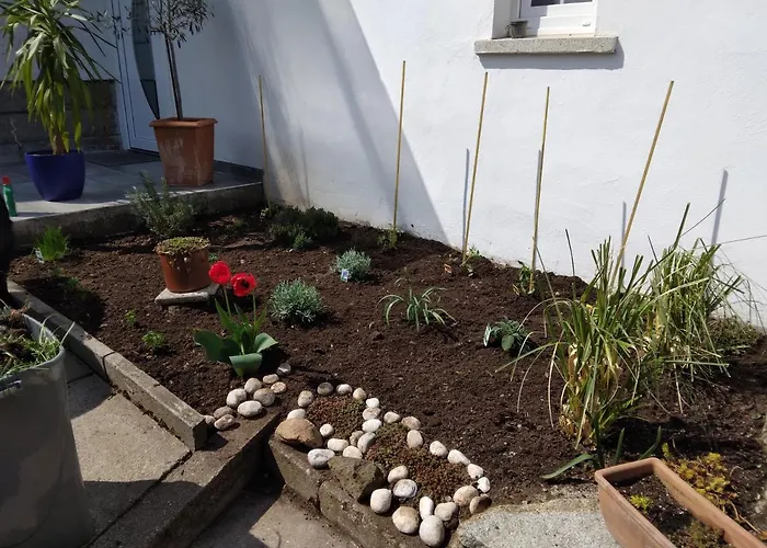 Edeltraud Zentral Lägenhet *